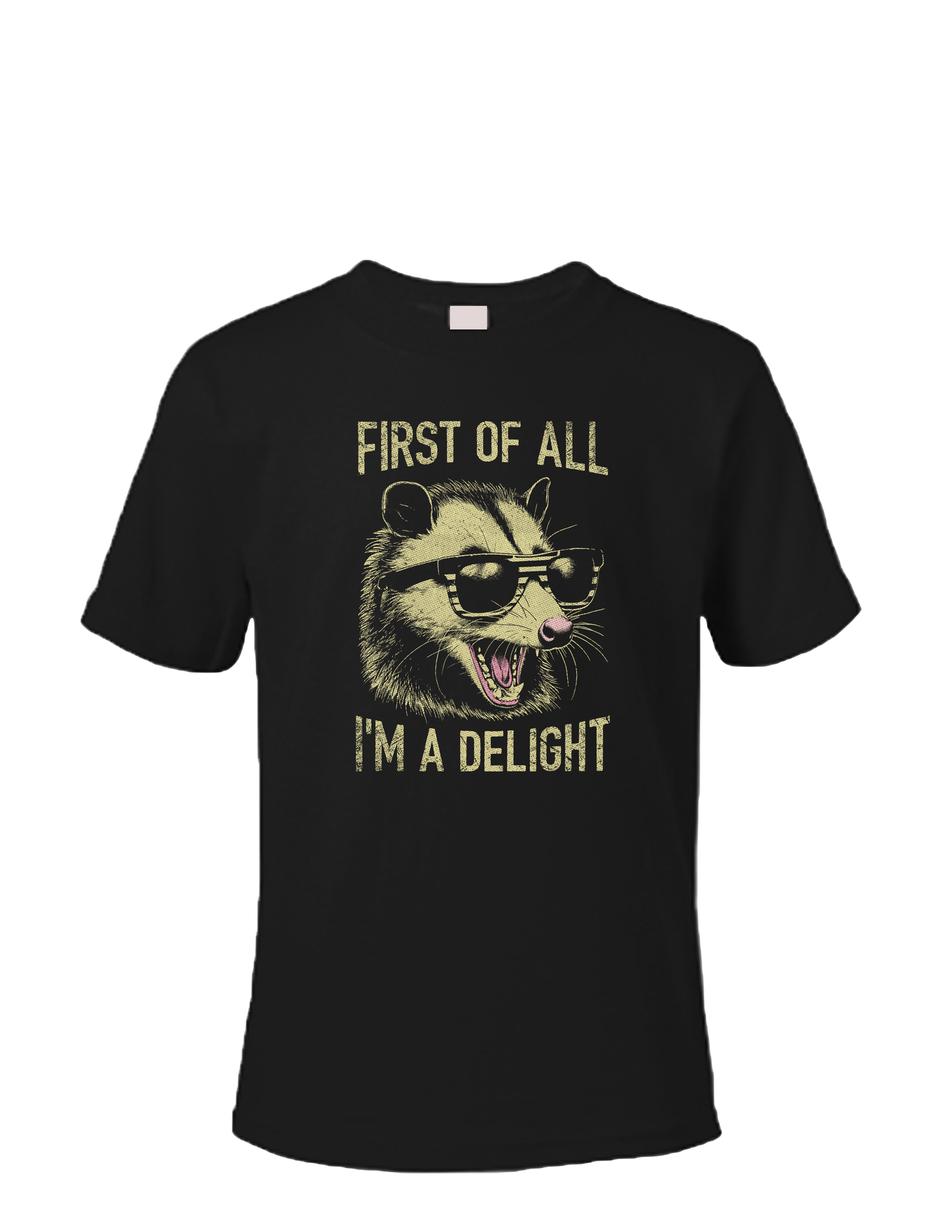 Short sleeve T-shirt UNISEX - 50%COTTON 50% POLYESTER. Enjoy Life. FIRST OF ALL I'M A DELIGHT.